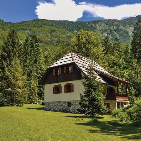 Chalet Primus Near Soca Gorge - Happy Rentals Exteriör bild