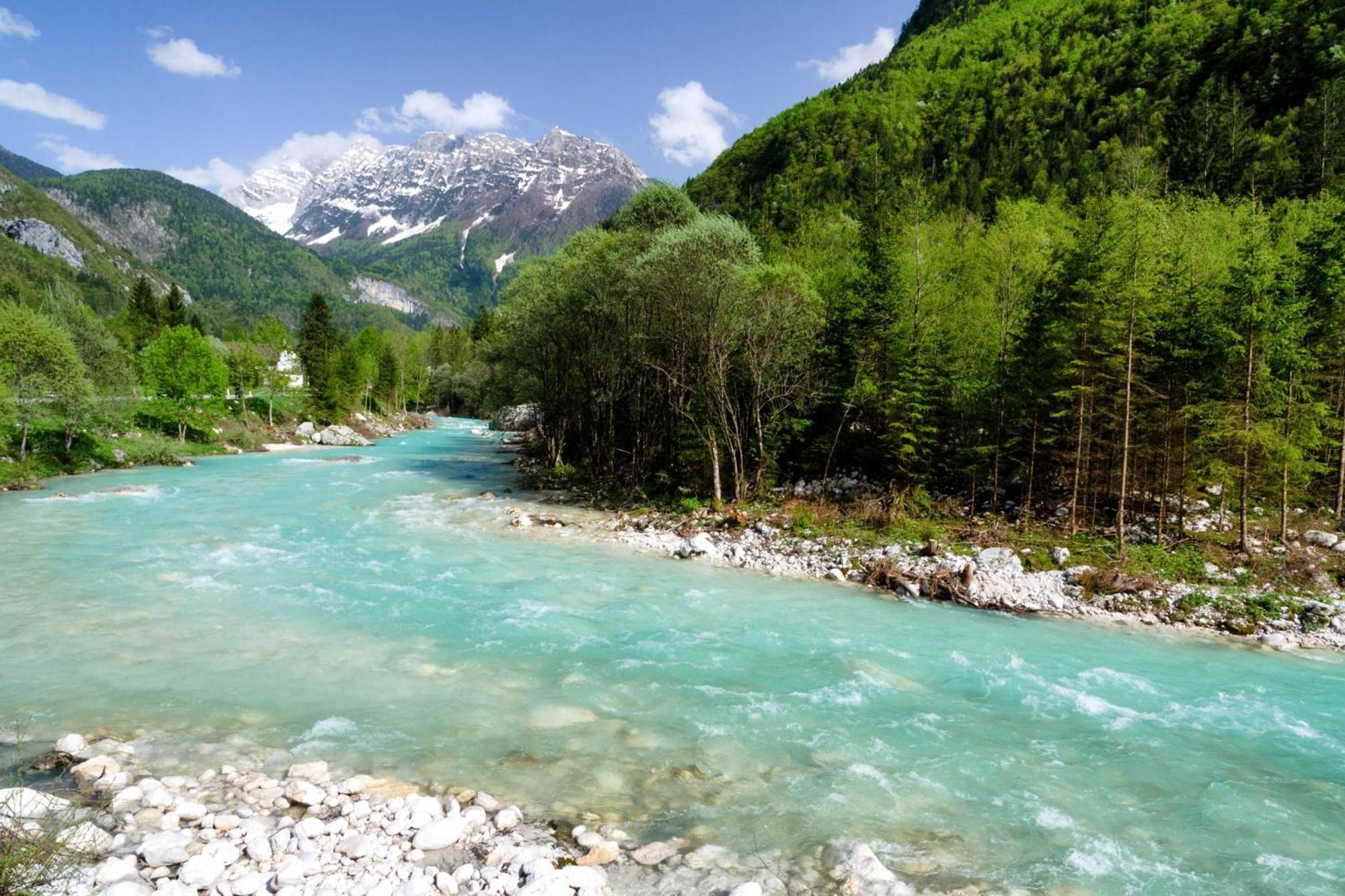 Chalet Primus Near Soca Gorge - Happy Rentals Exteriör bild