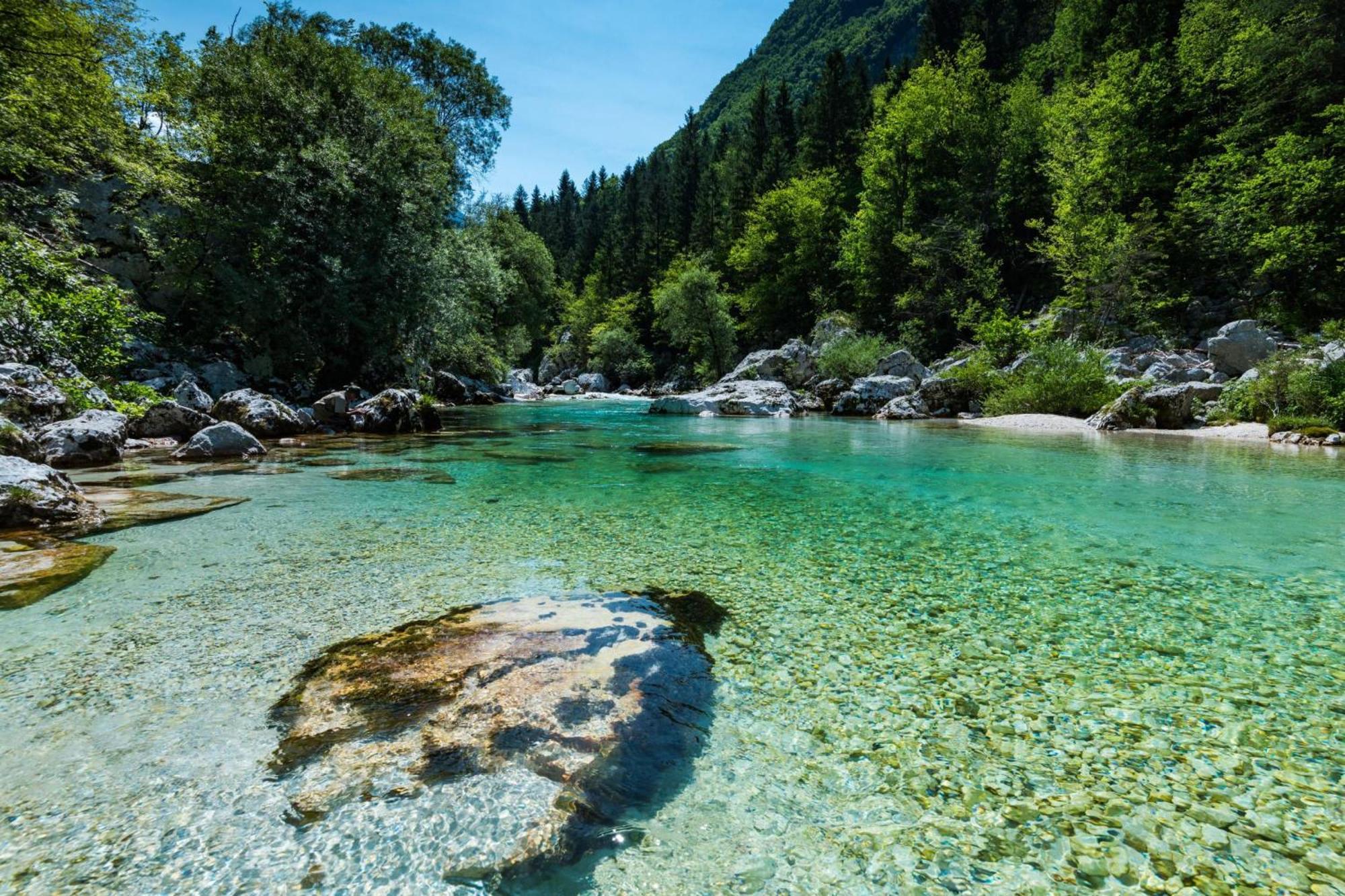 Chalet Primus Near Soca Gorge - Happy Rentals Exteriör bild